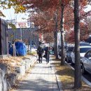 자인-3(자인면 공설시장 주차장) 이미지