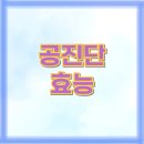 온안정신건강의학과의원 | 공진단 효능 및 복용방법 완벽 가이드