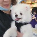 펫트리동물의료센터 이미지