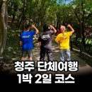 MC당구장 | [회사소개] 닭갈비회사의 청주 단체엠티 후기 / 청주 가볼만한곳 미동동산수목원 라킨타펜션