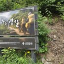 숲길발길 | 서울 걷기 좋은 숲길, 우이령길 예약 후기