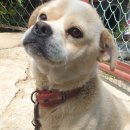 참살이농원 이미지