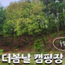더 봄날 캠핑장 이미지