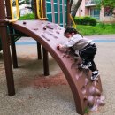 팽성어린이공원 이미지