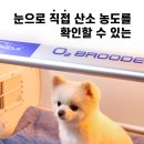 오투산소방 이미지