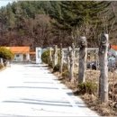 장안문화예술촌 Daum카페