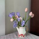 스톰복싱 | 2026년 4월 일기 (상)