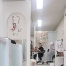 몽몽이털 이미지