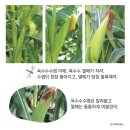 자연톡톡 이미지