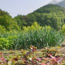 성주우리쉼터 이미지