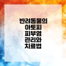 동물은 내친구 동물병원 이미지