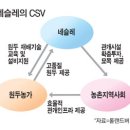 돈도 벌고 사회에도 공헌하는 CSV 이미지