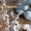 흙내음농장 이미지