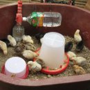 현인농원 이미지