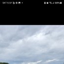 동산건강원 Daum카페