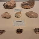 자연생태공원 자연생태박물관 이미지