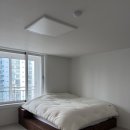 배내자연농원슈퍼 | 프레임/베스트슬립 Z8B 매트리스/그래이불 오가닉면 풀세트/농원청년 올리브나무/잡다한 집꾸템 후기