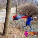오후의 숲 이미지