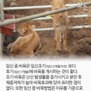 비육단지 이미지