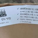 소금빵그레 이미지