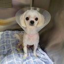 산호동물병원 이미지