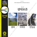 입체조형미술학원