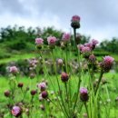 둔터니둘레길 이미지