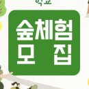 행복한숲