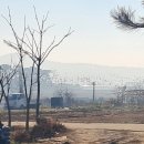 솔소리농장 이미지