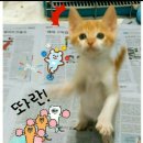 평강공주 이미지