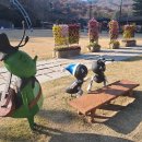 용인 농촌테마파크_241124 이미지