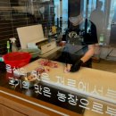 찬들농장 네이버블로그