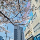 덕수고시원