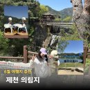 중앙탑터널 제천방향 | 6월 아이랑 가볼만한 곳 충북 제천 의림지 (오리배 후기)