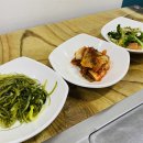 모드락가든