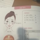 미스터피자(Mr.Pizza)창원점 | 상남동 경락샵 추천｜얼굴 붓기 진짜 빠지는 곳, 끌리메 창원점 솔직 후기(비포 애프터)