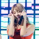 봉스 이미지