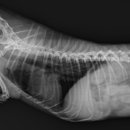 희성동물병원 이미지