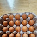 계성양계영농조합법인 이미지