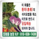대한암예방학회 - 전주시 덕진구 건지로 20 | 대한암예방학회