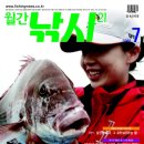 평화낚시.스포츠
