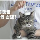 그루밍 스튜디오 네이버블로그