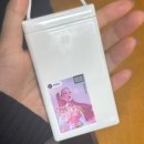 폴로 ( 경산점 ) | 만물이 소생하는 봄
