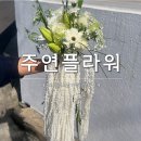 주연플라워 - 부천시 소사구 양지남로 33-1 | 제주도 웨딩스냅 가성비 생화부케 '주연플라워'