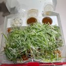 부산 덕천 치킨, 치킨 배달 맛집 미쳐버린 파닭 찐 후기 (feat.짜파게티)