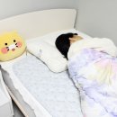 보국 전기요 안전과 절약 능력까지 갖춘 전기장판
