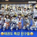 용인대비호태권도장 이미지