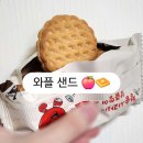청송제과 | [탕비실 과자] 청송사과 국희 와플샌드 추천! 🍎
