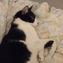 경기도 수원시 영통구 권광로276번길 | 2025년 12월 둘째주 일상(feat.육묘일기_리옹접종)