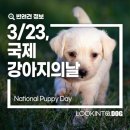 3월 23일(토) 국제 강아지의날 이미지